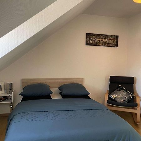 Joli Appartement Avec Place De Parking Prive Colmar Zewnętrze zdjęcie
