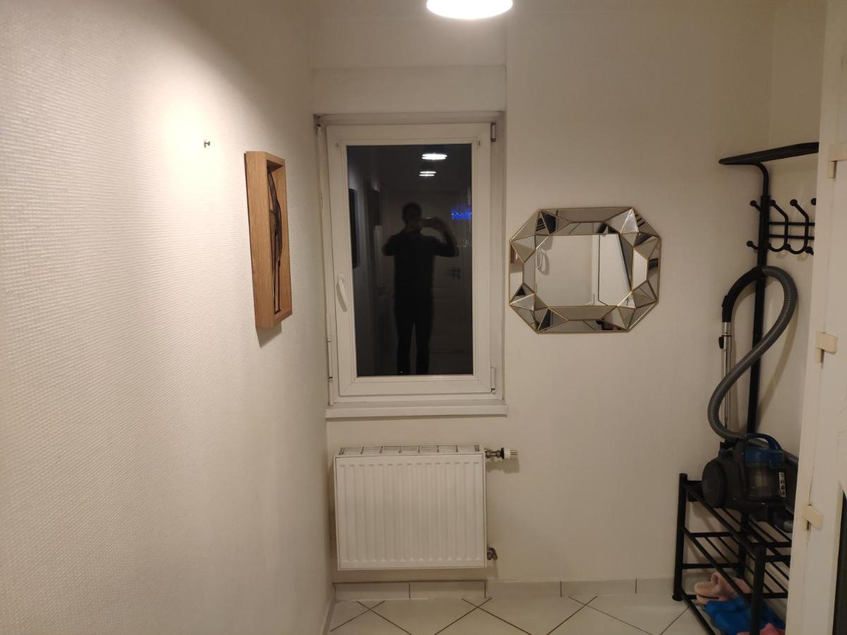 Joli Appartement Avec Place De Parking Prive Colmar Zewnętrze zdjęcie